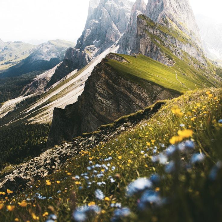 Protected areas overview